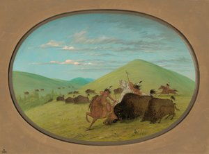 バッファロー チェイス - 子牛を守る雄牛、18611869。 作： George Catlin