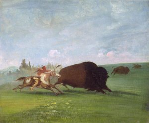 バッファローチェイス、単一の死、1832-1833。 作： George Catlin