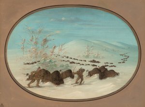 雪の吹きだまりのバッファロー チェイス - Ojibbeway、18611869。 作： George Catlin
