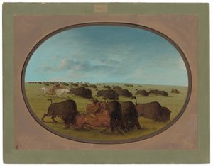 アクシデントのあるバッファロー・チェイス 作： George Catlin