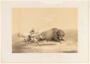 バッファロー・ハント、チェイス--No.5 作： George Catlin