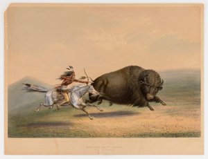バッファロー・ハント、チェイス--No.5 作： George Catlin