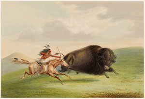  作： George Catlin