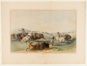 バッファローハント、チェイスNo.7 作： George Catlin