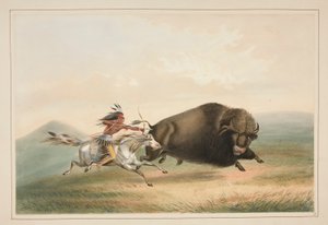 バッファローハント、チェイス、pl。 北米インディアン ポートフォリオの 5 人 作： George Catlin