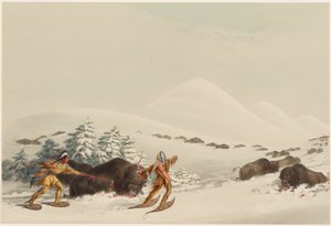  作： George Catlin
