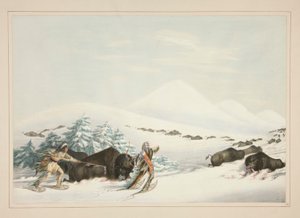 バッファローハント、雪の靴で、pl。 北米インディアンのポートフォリオから15人 作： George Catlin