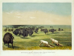  作： George Catlin
