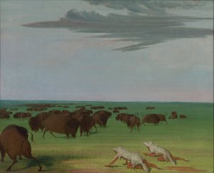 ウルフスキンマスクの下でのバッファローハント、1832-1833。 作： George Catlin