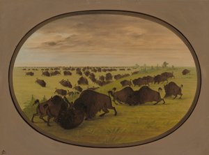 ブルズファイティング、18611869。 作： George Catlin