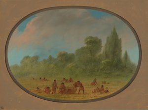 野生のイチゴを集めるカドー インディアン、1861 年 1869 年。