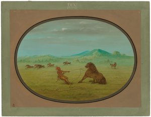 野生の馬を捕まえる - ポーニー
