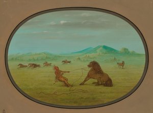 野生の馬を捕まえる - ポーニー、18611869。 作： George Catlin
