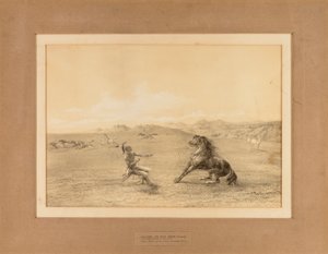 野生の馬を捕まえる--No.4 作： George Catlin