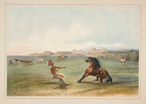 野生の馬を捕まえる、pl。 北米インディアン ポートフォリオの 4 頭 作： George Catlin