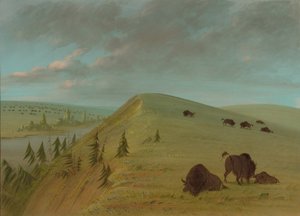シダー ブラフス、18611869。