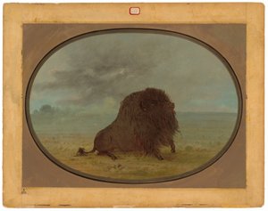 瀕死のバッファローブル 作： George Catlin