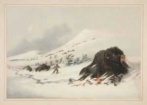  作： George Catlin