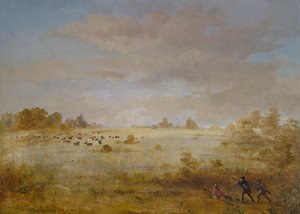 秋の大草原で放牧されているヘラジカ、1846～1848年。 作： George Catlin