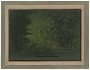 ラグーンへの入り口、アマゾンの海岸 作： George Catlin