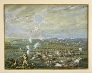  作： George Catlin