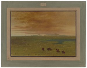 グレート ウォッシュハウス、パンパ デル サクラメント 作： George Catlin