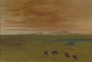 グレート ウォッシュハウス、パンパ デル サクラメント、1854-1869。 作： George Catlin