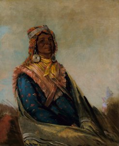 ホーホーホーホーホー、サム・ペリーマン 作： George Catlin