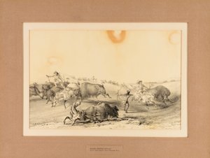 バッファローを狩るインディアン--7号 作： George Catlin