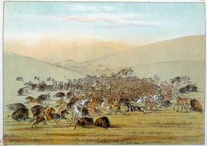 アメリカのインディアン：槍を持ってバッファローを狩るインディアンのミニアタレ。ジョージ・カトリン（1794-1872）によるイラスト 作： George Catlin