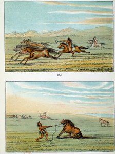 アメリカのインディアン：野生の馬の捕まえ方。ジョージ・カトリン（1794-1872）のイラスト 作： George Catlin