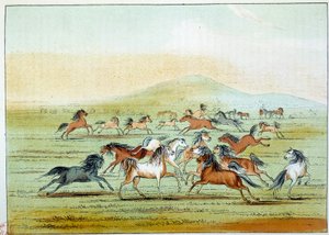 アメリカのインディアン：インディアンが狩る野生の馬。ジョージ・カトリン（1794-1872）によるイラスト 作： George Catlin