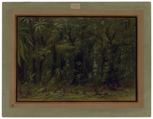 アマゾンの森の内部 - ズルマティ 作： George Catlin