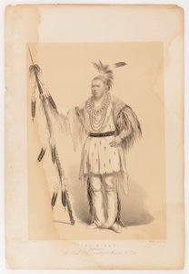ジョック・オ・ソット、歩くクマ 作： George Catlin