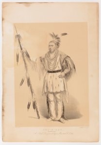 ジョック・オ・ソット、歩くクマ 作： George Catlin