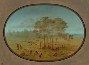野生のブドウを集めるキオワ州のインディアン、18611869。