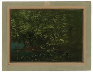 アマゾン川岸の豊かな森 作： George Catlin