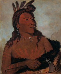 マ・ト・チェ・ガ、リトル・ベア、フンクパパの勇者 作： George Catlin