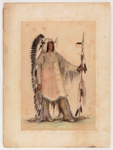 マンダンの酋長マ・ト・パ 作： George Catlin