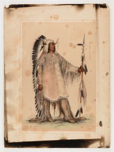 マンダンの酋長マ・ト・パ 作： George Catlin