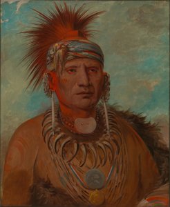 ノイモンヤ、ウォーキング・レイン、ウォー・チーフ 作： George Catlin
