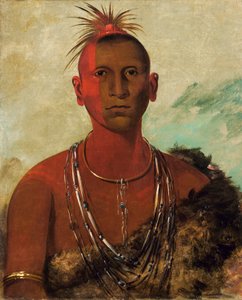 ナ・セ・ウス・クック、渦巻く雷、ブラック・ホークの長男 作： George Catlin