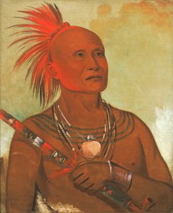 パマ・ホー、泳ぎ手、ブラック・ホークの戦士のひとり 作： George Catlin