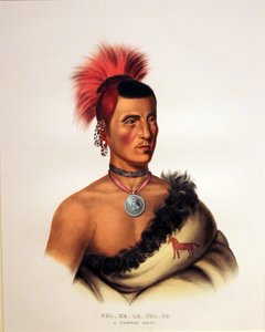 ポーニーチーフペスケレチャコ 作： George Catlin