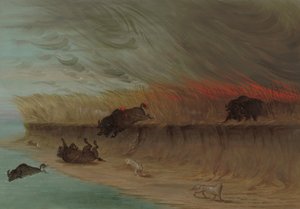 プレーリー メドウズ バーニング、18611869。 作： George Catlin