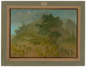 シャクナゲ山 作： George Catlin