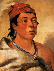 戦士のラウンド島、1831年。 作： George Catlin