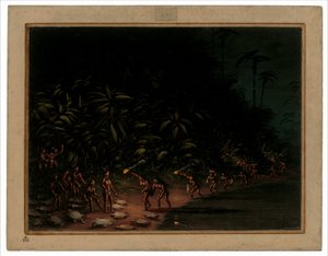 タートル ハント、18541869。 作： George Catlin