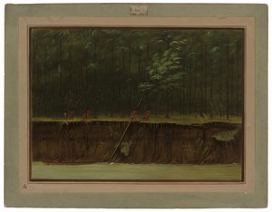 ローワー ミシシッピの眺め 作： George Catlin