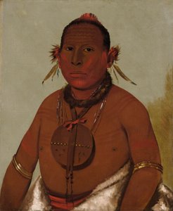 ワ・サーウ・メ・ソー、轟雷、ブラック・ホークの末っ子 作： George Catlin